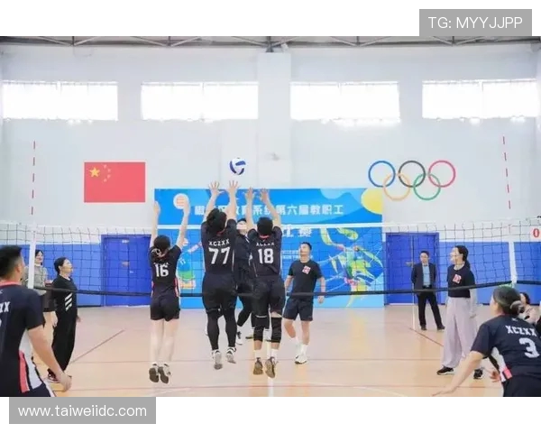 武汉排球队在世界锦标赛中的奋进之路与辉煌成就全景回顾